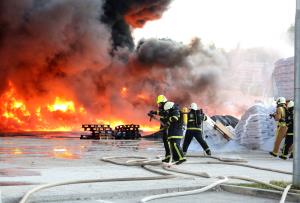POŽAR FRAGMAT 05 FOTO LJUBO VUKELIČ